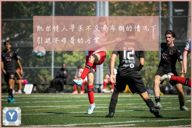 凯尔特人寻求不交易布朗的情况下引进字母哥的方案