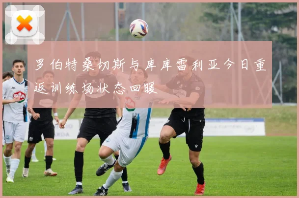 罗伯特桑切斯与库库雷利亚今日重返训练场状态回暖