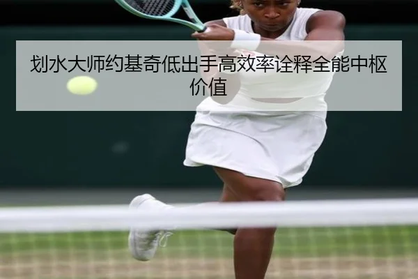 划水大师约基奇低出手高效率诠释全能中枢价值（StarryskySpor）
